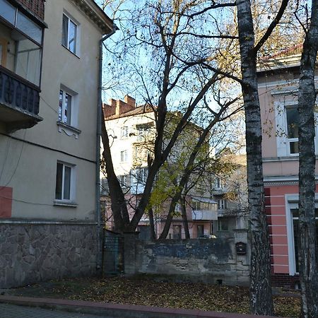 Catedra View Apartment Ternopil Esterno foto