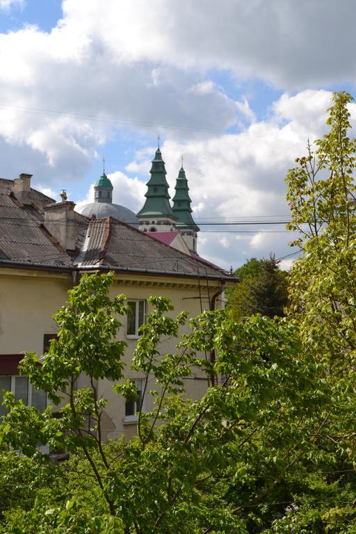 Catedra View Apartment Ternopil Esterno foto